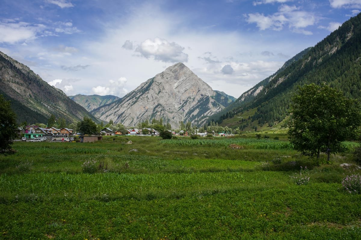 Sonamarg meadow